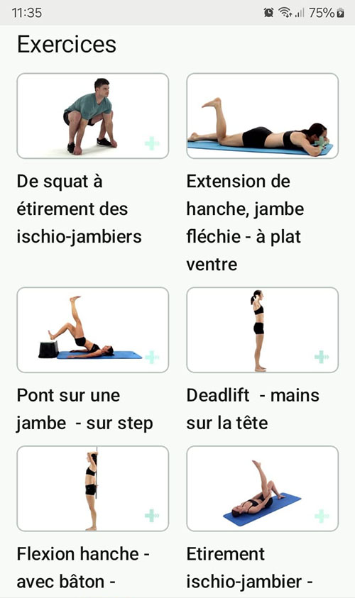 Programme d'exercices en ligne Blessure des ischio-jambiers