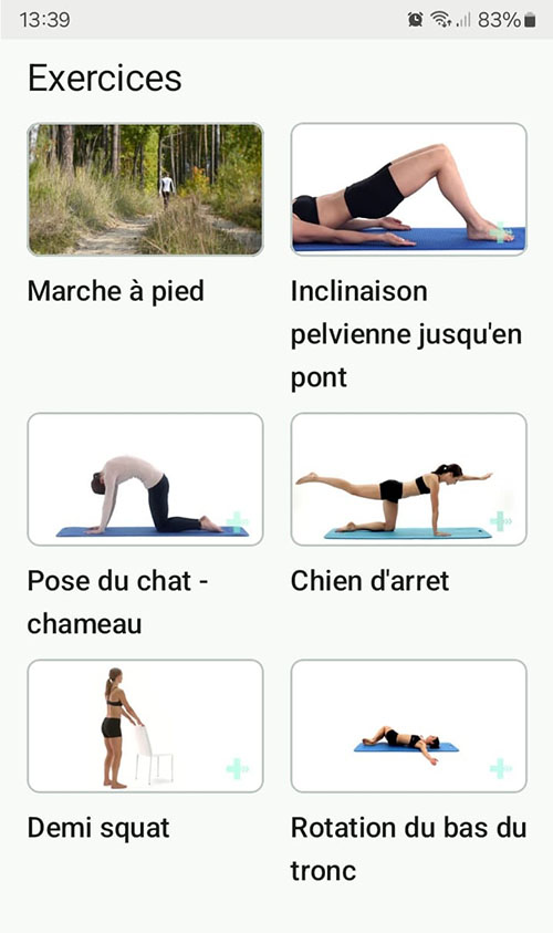 Programme d'exercices en ligne Instabilité du bas du dos