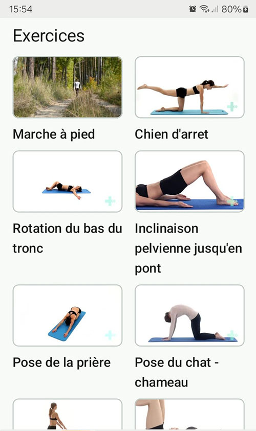 Programme d'exercices en ligne Scoliose
