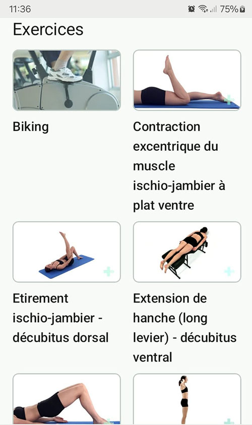 Programme d'exercices en ligne Lésion aiguë des ischio-jambiers
