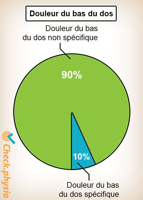 dos douleur lombaire non spécifique spécifique diagramme circulaire